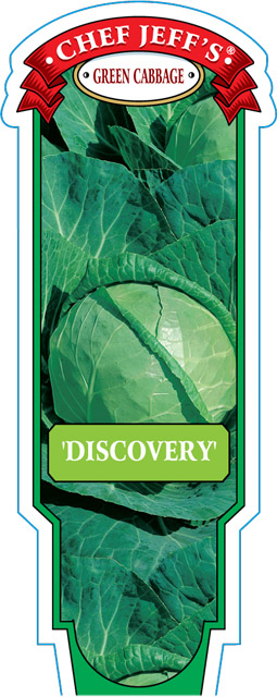discovery