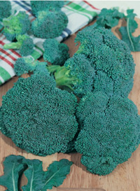 broccoli