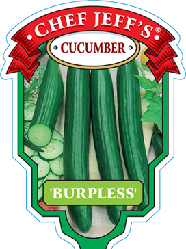 Burpless