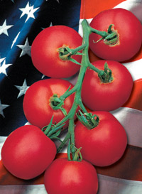 IndependenceDay