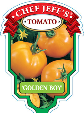 GoldenBoy
