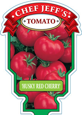 HuskyRedCherry