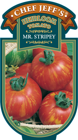 MrStripey