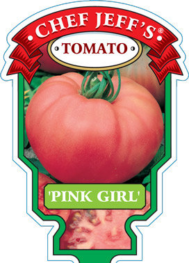 pinkgirl