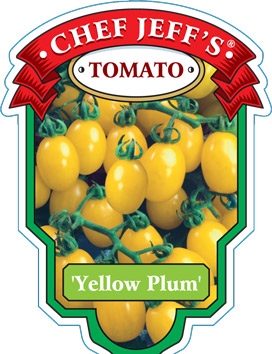 YellowPlum