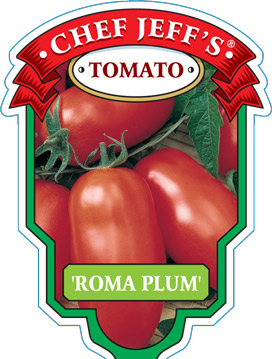 roma