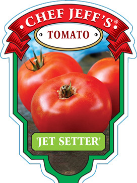 jetsetter