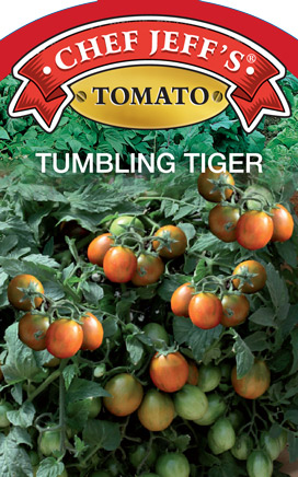Tumblingtiger